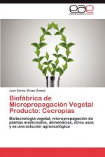 Biofabrica de Micropropagacion Vegetal Producto