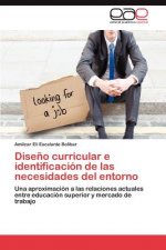 Diseno Curricular E Identificacion de Las Necesidades del Entorno