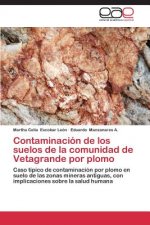 Contaminacion de los suelos de la comunidad de Vetagrande por plomo