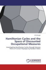 Hamiltonian Cycles and the Space of Discounted Occupational Measures