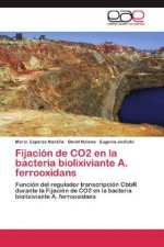 Fijación de CO2 en la bacteria biolixiviante A. ferrooxidans