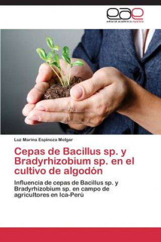 Cepas de Bacillus sp. y Bradyrhizobium sp. en el cultivo de algodon