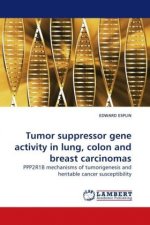 Tumor suppressor gene activity in lung, colon and breast carcinomas