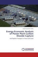 Energy-Economic Analysis of Power Plant Carbon Dioxide Capture