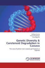 Genetic Diversity & Carotenoid Degradation in Cassava