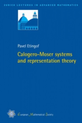 CalogeroMoser systems and representation theory