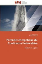 Potentiel  nerg tique Du Continental Intercalaire