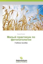 Malyy Praktikum Po Fitopatologii