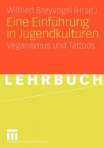 Eine Einfuhrung in Jugendkulturen