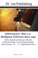 Elektroautos. Was u.a. Wolfgang Tiefensee dazu sagt