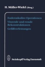 Endovaskuläre Operationen Viszerale und renale Rekonstruktionen Gefäßverletzungen
