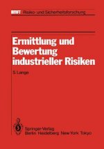 Ermittlung und Bewertung Industrieller Risiken
