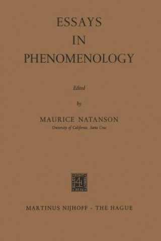 Essays in Phenomenology