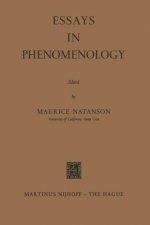 Essays in Phenomenology