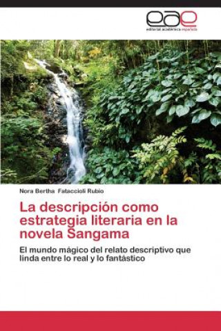 descripcion como estrategia literaria en la novela Sangama