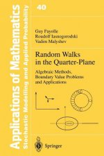 Random Walks in the Quarter-Plane