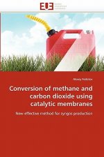 Conversion of Methane and Carbon Dioxide Using Catalytic Membranes