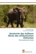 Anatomie des ausseren Ohres des afrikanischen Elefanten