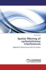 Spatial filtering of cyclostationary interferences
