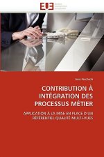 Contribution   Int gration Des Processus M tier