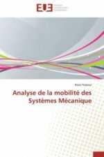 Analyse de la mobilité des Systèmes Mécanique