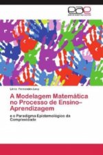 Modelagem Matematica no Processo de Ensino-Aprendizagem
