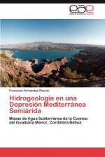 Hidrogeologia en una Depresion Mediterranea Semiarida