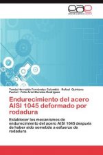 Endurecimiento del acero AISI 1045 deformado por rodadura