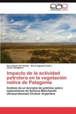 Impacto de la actividad petrolera en la vegetacion nativa de Patagonia