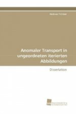 Anomaler Transport in ungeordneten iterierten Abbildungen