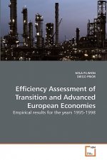 Efficiency Assessment of Transition and Advanced European Economies