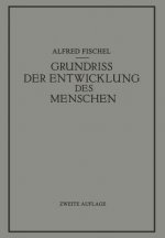 Grundriss Der Entwicklung Des Menschen