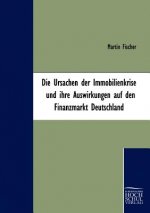 Ursachen der Immobilienkrise und ihre Auswirkungen auf den Finanzmarkt Deutschland