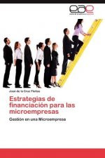 Estrategias de Financiacion Para Las Microempresas