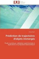 Prediction de trajectoires d'objets immerges