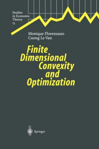 Finite Dimensional Convexity and Optimization