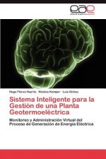 Sistema Inteligente para la Gestion de una Planta Geotermoelectrica