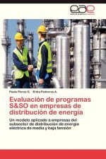 Evaluacion de programas S&SO en empresas de distribucion de energia