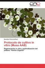 Protocolo de cultivo in vitro (Musa AAB)