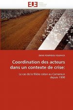 Coordination Des Acteurs Dans Un Contexte de Crise