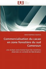 Commercialisation du cacao en zone forestiere du sud cameroun