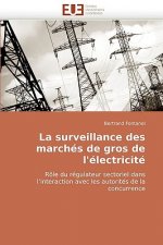 Surveillance Des March s de Gros de l'' lectricit