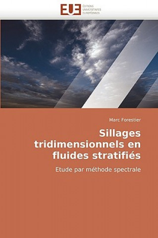 Sillages Tridimensionnels En Fluides Stratifi s