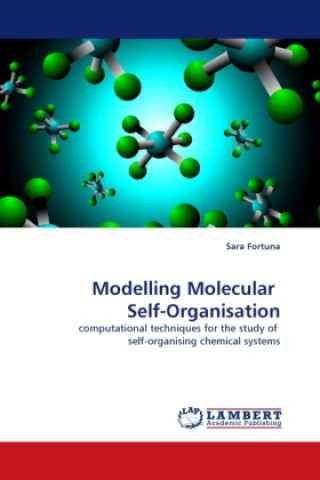 Modelling Molecular Self-Organisation