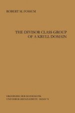 The Divisor Class Group of a Krull Domain