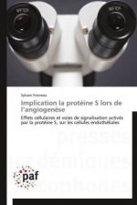 Implication la protéine S lors de l angiogenèse