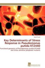 Key Determinants of Stress Response in Pseudomonas putida KT2440