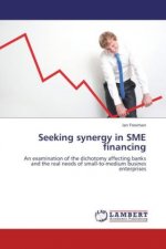 Seeking synergy in SME financing