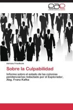 Sobre la Culpabilidad