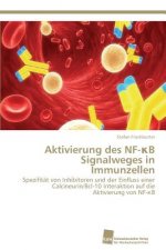 Aktivierung des NF-κB Signalweges in Immunzellen